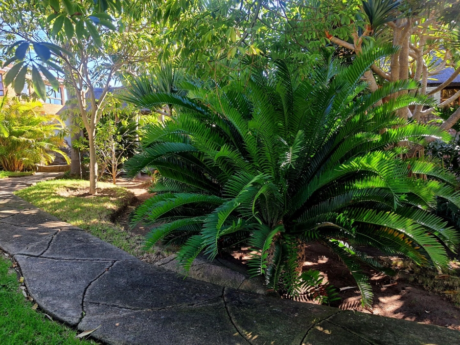 3 Bedroom Property for Sale in Menkenkop Western Cape